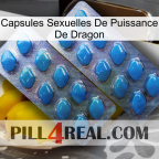 Dragon Power Sexual Capsules viagra2